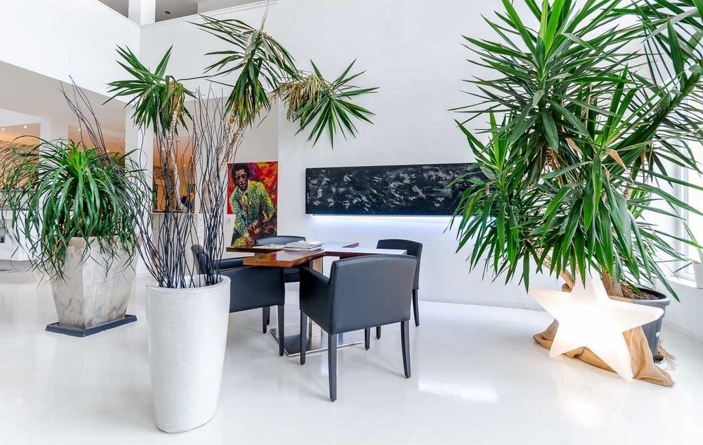 Designhotel Youngstar Mannheim Luaran gambar